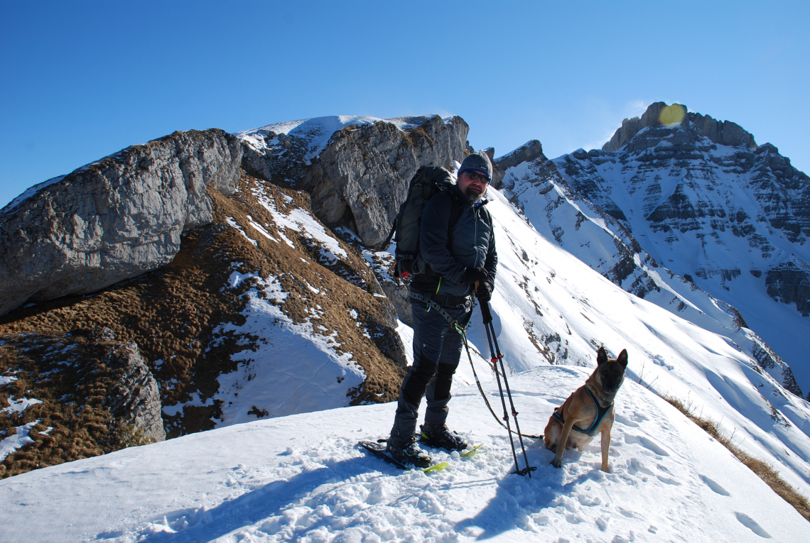 Angebote Hundewanderungen